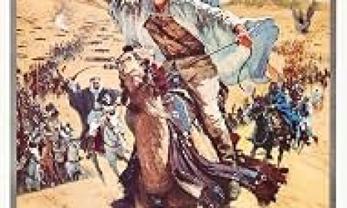 枸杞子下火的功效网 - 网站提供枸杞子功效和主治小常识、枸杞子的功效与作用泡水喝的功效