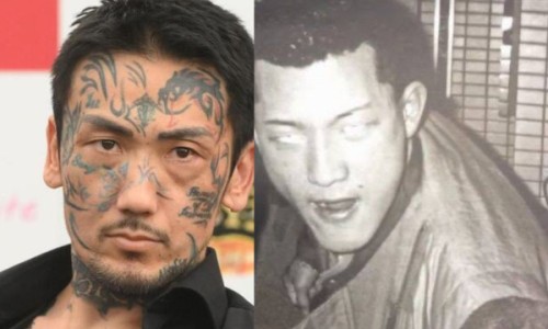 枸杞子红枣泡水喝功效-枸杞子下火的功效网 - 网站提供枸杞子功效和主治小常识、枸杞子的功效与作用泡水喝的功效