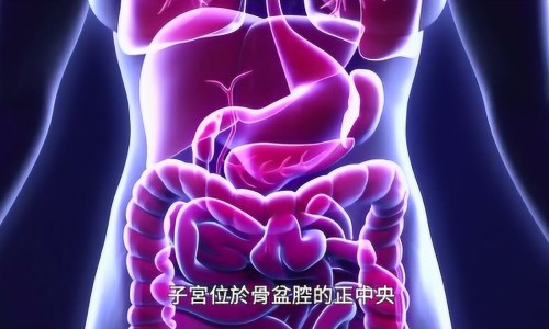 枸杞子下火的功效网 - 网站提供枸杞子功效和主治小常识、枸杞子的功效与作用泡水喝的功效